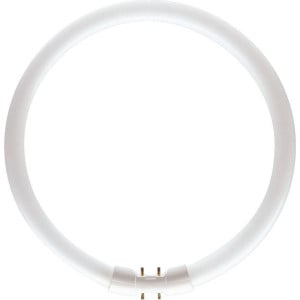 Philips - TL5 CIRCULAR 22W/840 1CT/10