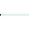 Philips - TL5 HE 35W 840 - Mini TL