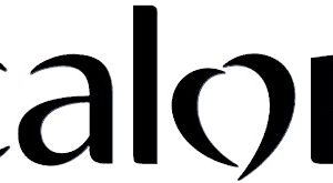 Calor - stoomgenerator - SV9203C0 Calor - stoomgenerator - SV9203C0