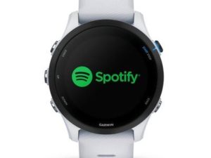 Garmin forerunner 255 music whitestone
